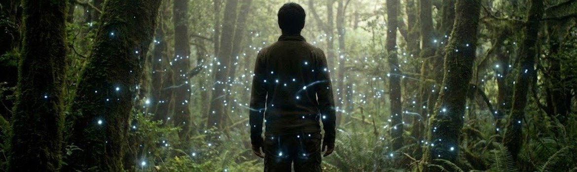 Žemės Jėgos Atradimas: Kaip Įsižeminimas Gali Pakeisti Jūsų Gyvenimą