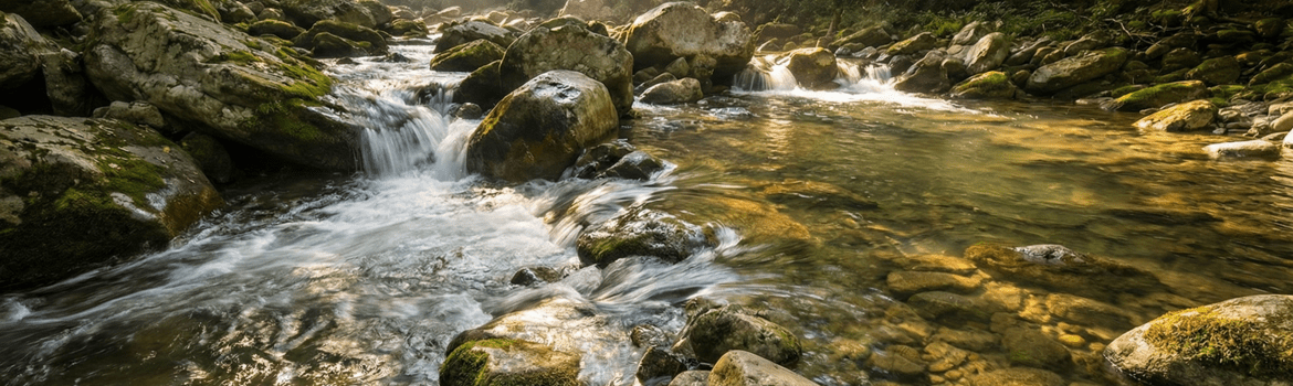 Įžeminimas: triukas iš gamtos, kuris gali pakeisti miegą, stresą ir uždegimą