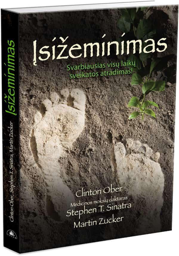 Knyga „Įsižeminimas“
